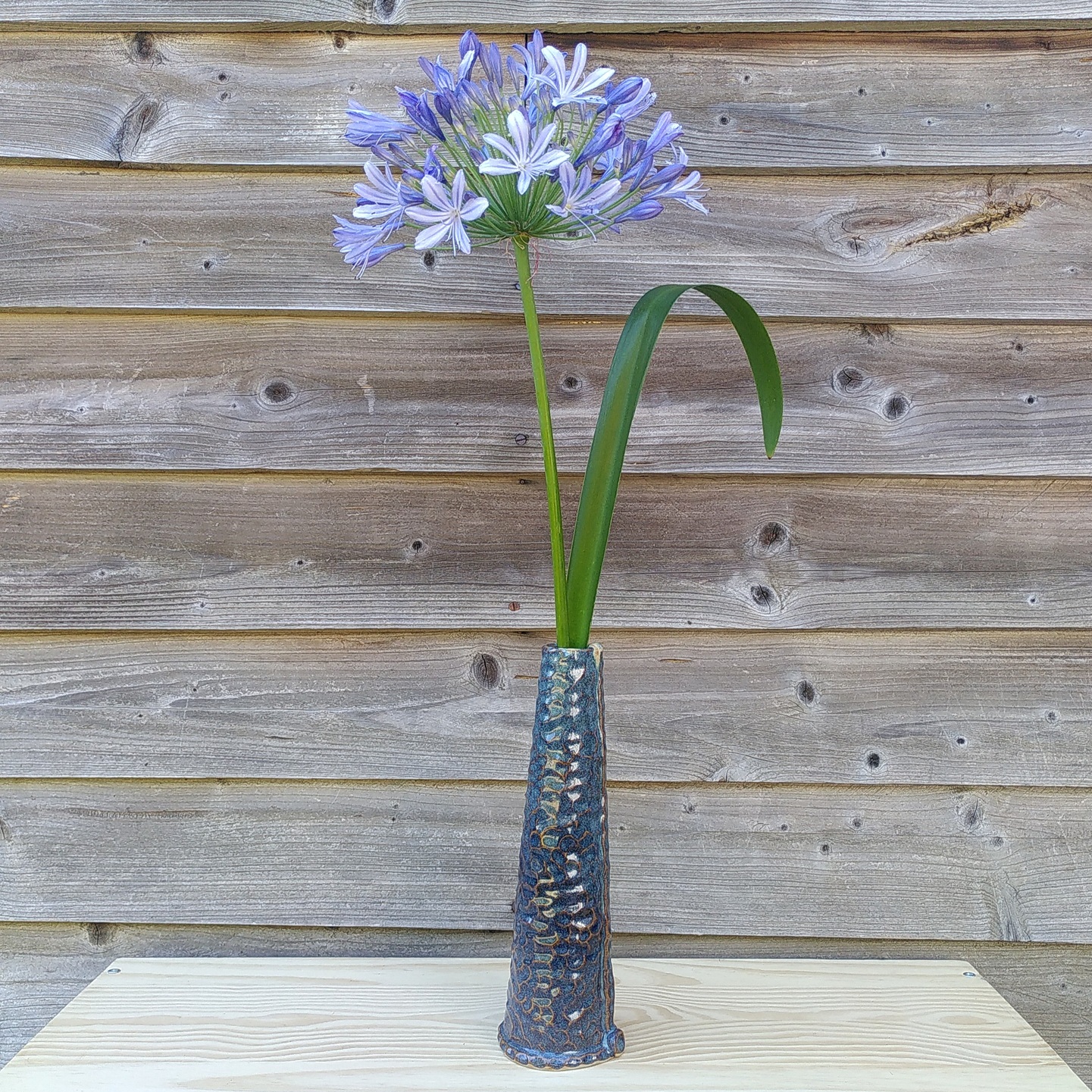 Long vase bleu façonné Un vase conique bleu, façonné à la main et avec une texture comme martelée. Il contient une très grande fleur d'agapanthe violette.